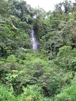 Waterfall on eastern slope of the Andes